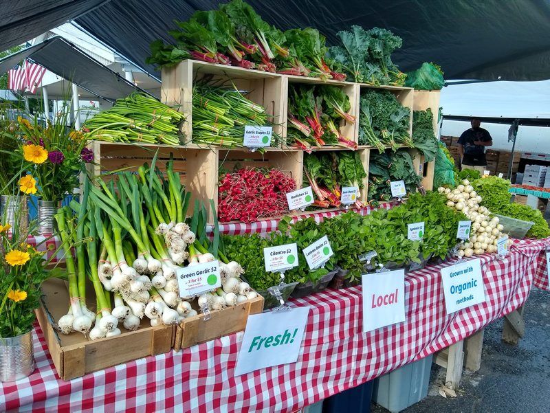 Hickory Run Homestead Turns Nutrient-Dense ‘Market Gardening’ Into Year-Round Profits